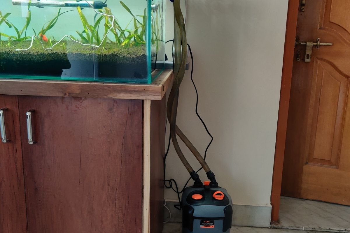 Can Goldfish Live Without An Air Pump? (In Aquarium Or Fish Bowl)