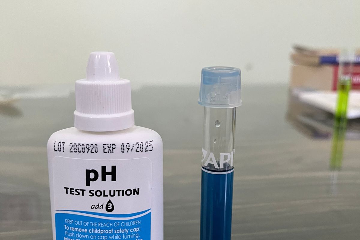 Ideal PH Level For Betta Fish? (Betta Fish Ideal Water Parameters)