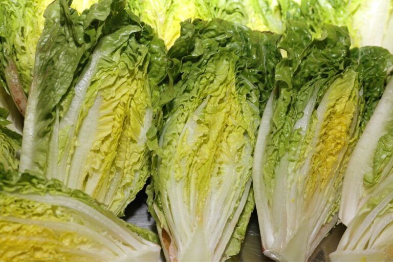 Can Rabbits Eat Romaine Lettuce Hearts? (All You Need To Know)
