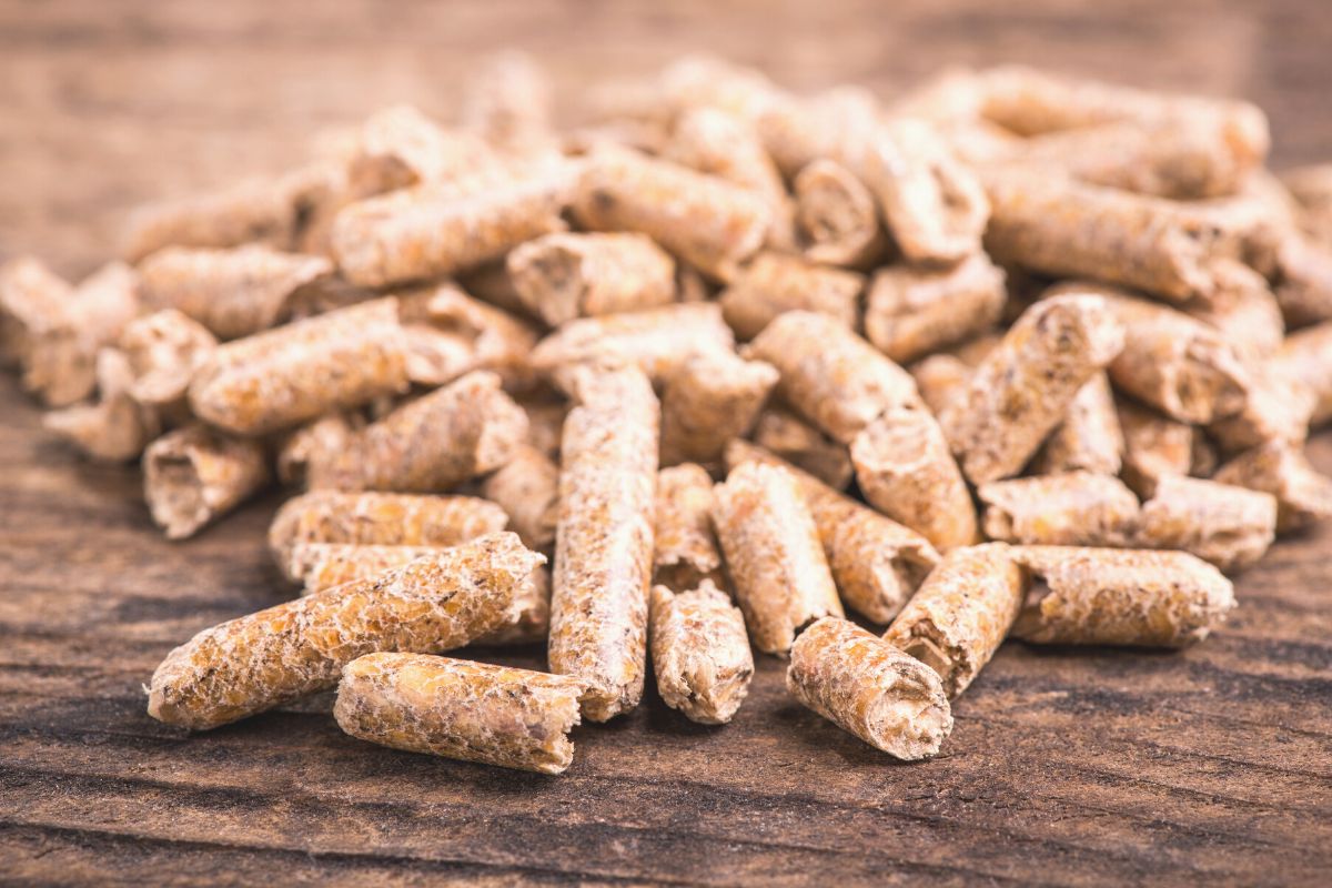 Do Rabbits Need Pellets? (All You Need To Know)